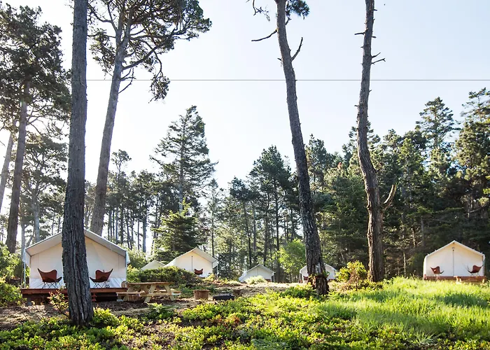 Pet Friendly hotel: Mendocino Grove